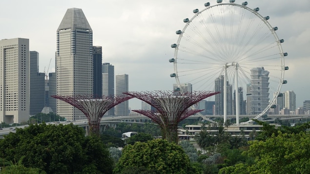 Vue panoramique de Singapour.