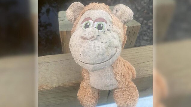 Un singe en peluche attaché au pont d’une communauté afro-néo-écossaise fait réagir