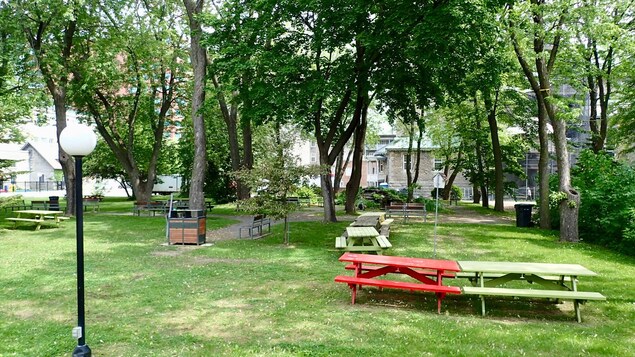 Des tables à pique-nique sont dispersés ici et là sur le gazon. Des tables à pique-nique sont dispersés ici et là sur le gazon.
