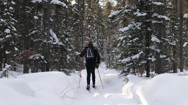 La saison de ski de fond est bien amorcée en Abitibi-Témiscamingue