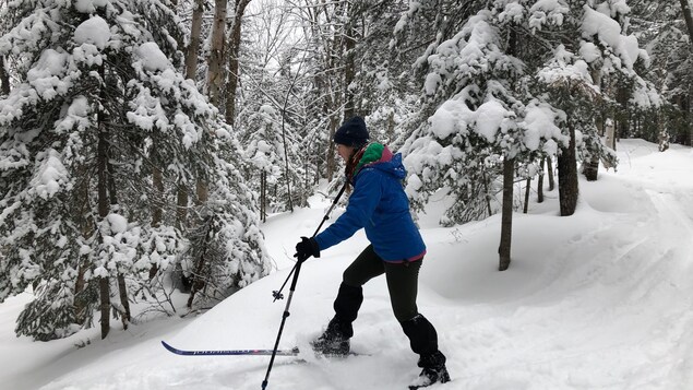 Du ski de randonnée nordique à Sainte-Rose-du-Nord à compter de samedi