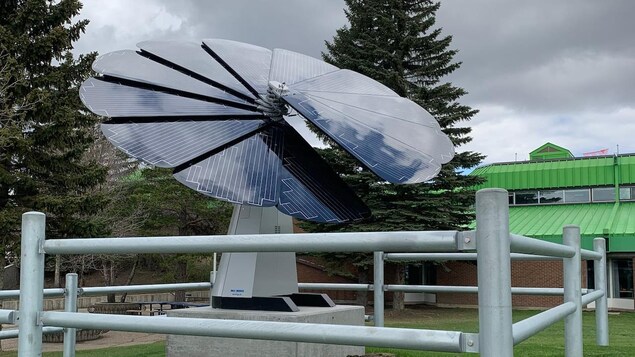 Organizers say the solar flower microgrid feeding the Health and Science Academy at Bishop James Mahoney High School is the first of its kind in Canada.