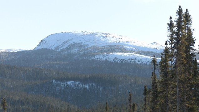 Le sommet des monts Groulx à travers les arbres.