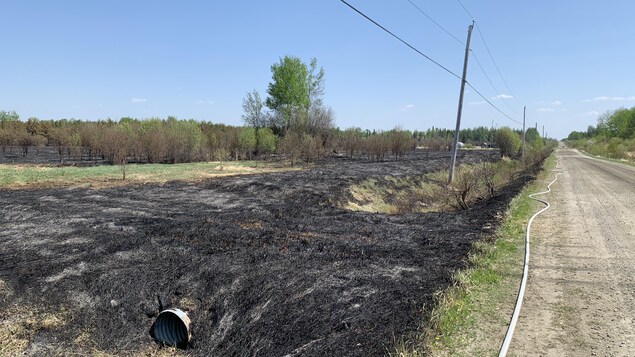 Du foin brûlé par un incendie. Un tuyau longe la route 397.