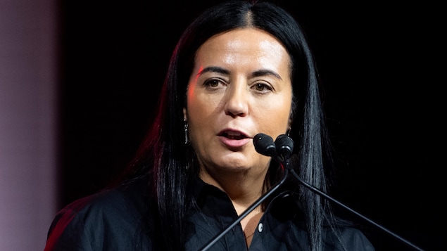 Tourism Minister Resigns, Seeks Montreal Mayor Position - News Directory 3