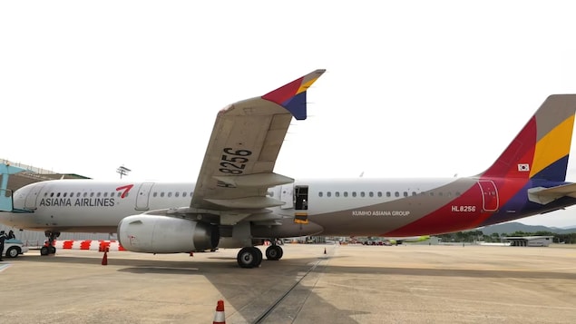 The Asiana Airlines plane involved in Friday's incident is seen parked at Daegu International Airport in Daegu, South Korea, on Friday. A passenger opened a door on a flight that later landed safely, airline and government officials said. (Yun Kwan-shick/Yonhap/The Associated Press)