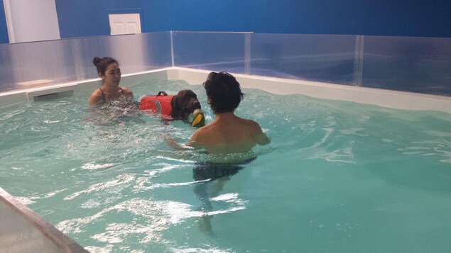 Les propriétaires de Garmin font des exercices avec leur chien dans la piscine chauffée deux fois par semaine