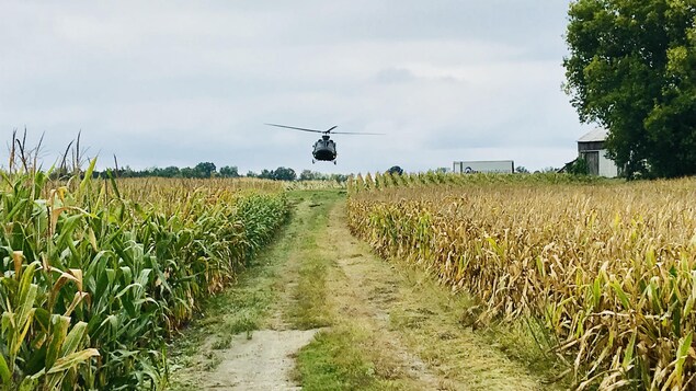 Un hélicoptère de la Sûreté du Québec survole des terres à la recherche de plantations de cannabis.
