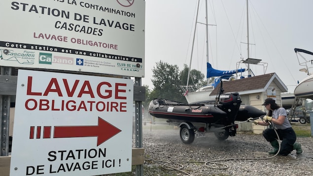 Opération de sensibilisation aux espèces envahissantes au lac Témiscouata