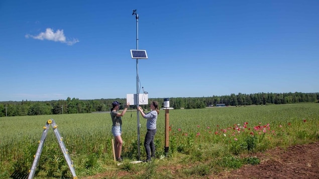 Un projet de recherche de UPEI étudiera les variations climatiques à l’Î.-P.-É.