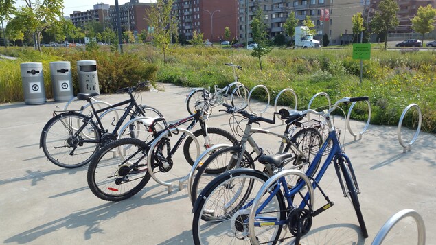 Des supports à vélos, des bacs à recyclage et une pancarte indiquant « milieu préservé pour la biodiversité ». Des supports à vélos, des bacs à recyclage et une pancarte indiquant « milieu préservé pour la biodiversité ».