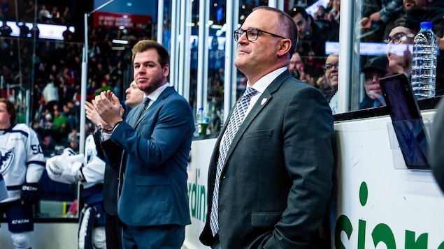 Stéphane Julien courtisé par la Ligue américaine de hockey