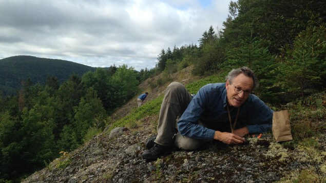 Stephen Clayden, conservateur-chercheur en botanique et mycologie au Musée du Nouveau-Brunswick, à la recherche de nouvelles espèces de lichens. Stephen Clayden, conservateur-chercheur en botanique et mycologie au Musée du Nouveau-Brunswick, à la recherche de nouvelles espèces de lichens.