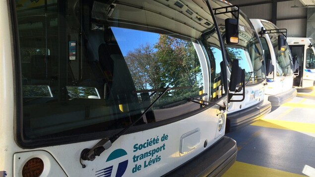 Des autobus de la Société de transport de Lévis.