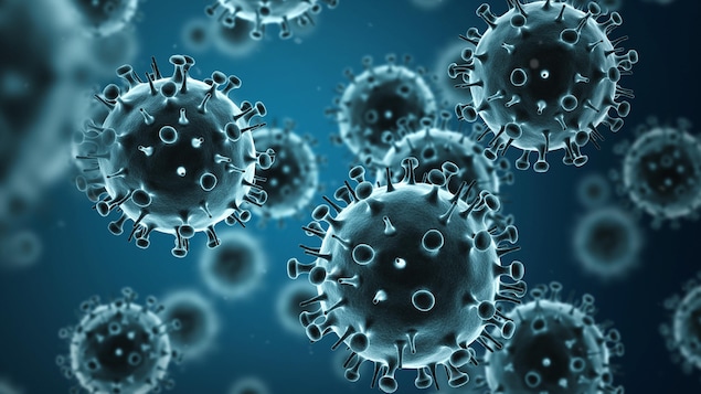 Une représentation du virus de la grippe.