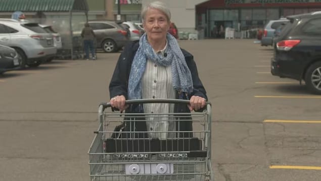 Susan Dennison said she was humiliated when the wheels on her shopping cart locked at a Loblaw-owned Fortinos grocery in Burlington, Ont. She said an employee rushed over and demanded to see her receipt. Some retailers are beefing up anti-theft measures, such as locking the wheels on shopping carts, that have raised the ire of shoppers. 