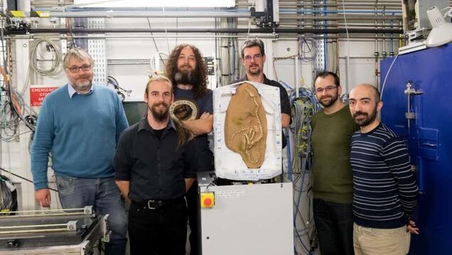 L'équipe du Synchrotron européen de Grenoble avec le fossile d'Halszka. L'équipe du Synchrotron européen de Grenoble avec le fossile d'Halszka.