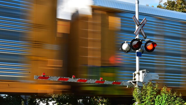 Un train circule derrière le système signalisation d'un passage à niveau.
