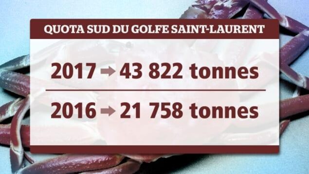 tableau avec des chiffres qui expliquent les quotas de pêche. tableau avec des chiffres qui expliquent les quotas de pêche.