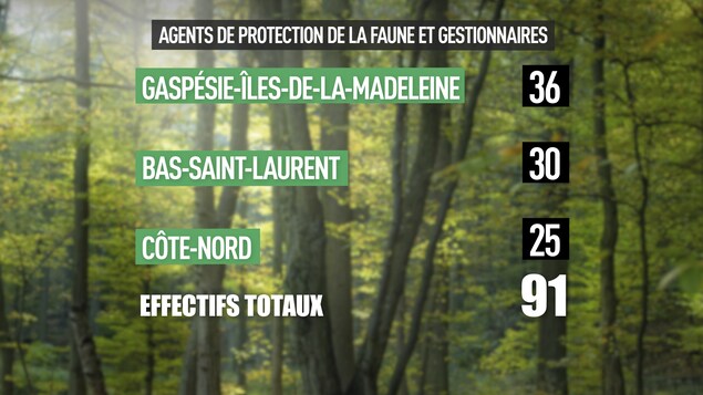 Tableau Tableau