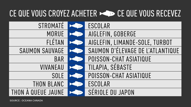 Un tableau présente des noms de poissons. Un tableau présente des noms de poissons.