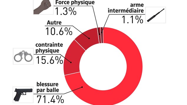 Tableau montrant comment les victimes sont mortes lors de contatcs avec les forces policières. Tableau montrant comment les victimes sont mortes lors de contatcs avec les forces policières.