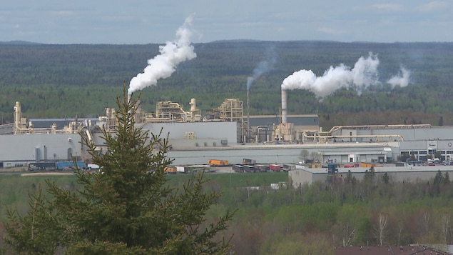 Les employés de Tafisa à Lac-Mégantic sont en grève