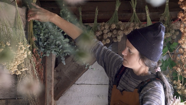 Capture d'écran du documentaire d'Elisabeth Marcoux. Un dame fait sécher des fleurs dans une grange. 