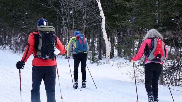 Trois skieurs