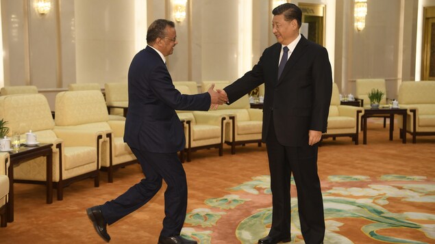 Le Dr Tedros serre la main de Xi Jinping, au milieu d'une grande salle.