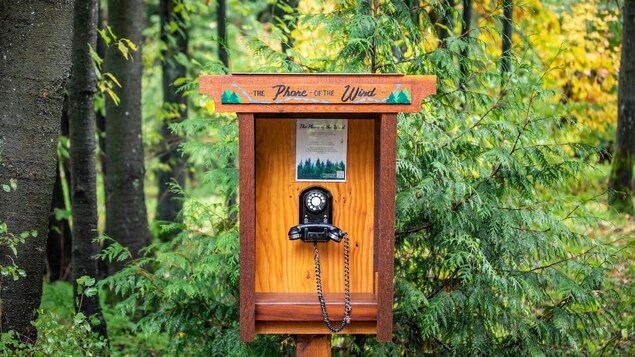 Pleurer ses proches disparus grâce à un téléphone non connecté dans un parc en C.-B.