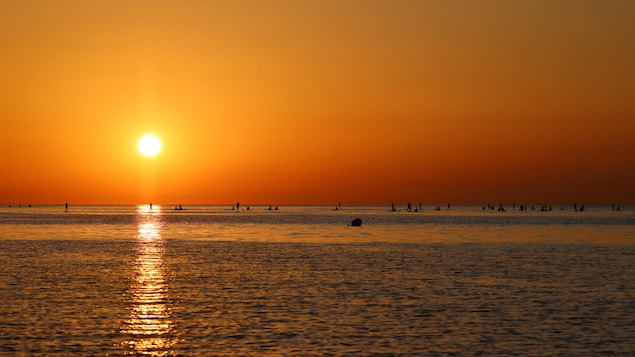 Les océans proches de leur record de chaleur