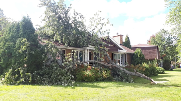 Un arbre tombé sur le toit d'une maison. Un arbre tombé sur le toit d'une maison.