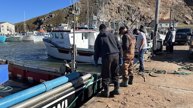 Quatre pêcheurs sur un quai tiennent des cordages, autour d'eux des bateaux de pêche sont amarrés au quai.