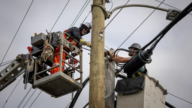 Mga linemen inaayos ang linya ng kuryente.