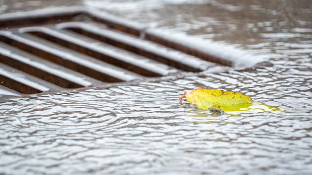 L’Est-du-Québec a connu plusieurs pannes de courant samedi en raison de la tempête Nicole