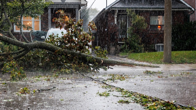 Autoroute fermée, pannes de courant : Toronto se relève de la tempête