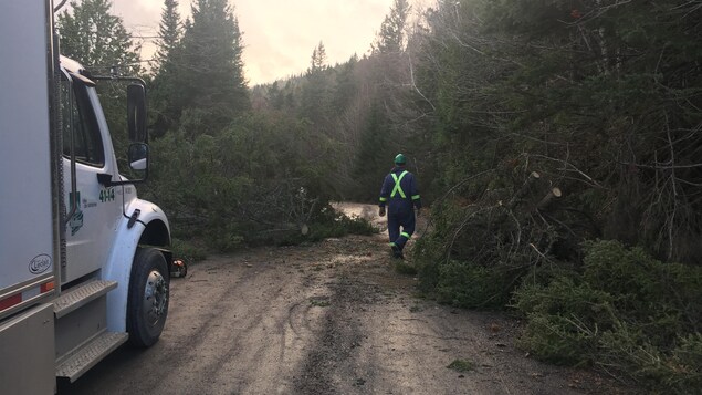 Un camion stationné dans un chemin forestier où un secouriste marche vers un arbre tombé.