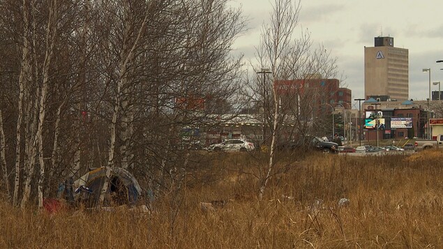 Une tente dans un petit boisé près du centre-ville de Moncton. Dans l'arrière plan, la ville.