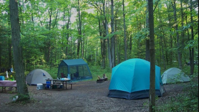 Des tentes sur un terrain de camping.