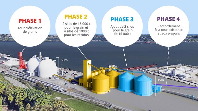 Un développement en quatre phases Un développement en quatre phases