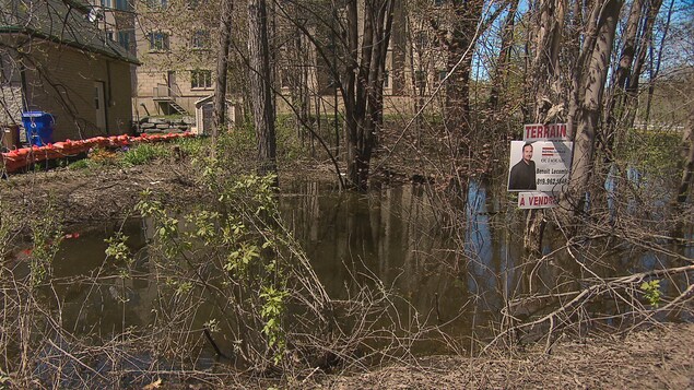 Un terrain sur le chemin Fraser, à Gatineau Un terrain sur le chemin Fraser, à Gatineau