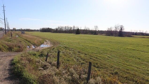 Emplacement choisi pour une nouvelle école francophone dans le Grand Sudbury