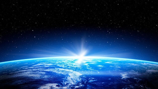 Une Autre Espece Intelligente Sur Terre Avant L Humain Radio Canada Ca Une Autre Espece Intelligente Sur Terre Avant L Humain Radio Canada Ca