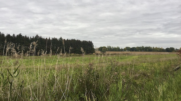 Construire une usine ou protéger la terre? Le choix difficile des villes du Québec