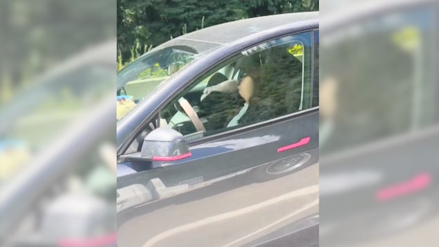 La GRC dénonce des conducteurs de Tesla endormis au volant