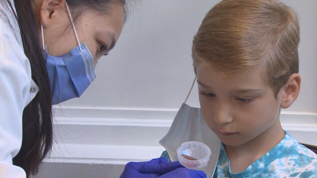 Un petit garçon fait un test de dépistage de la COVID à partir de la salive.