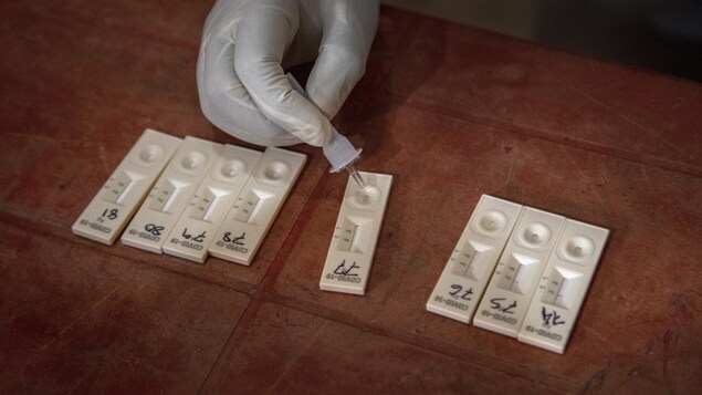 Des tests rapides dans les écoles primaires de 10 régions québécoises