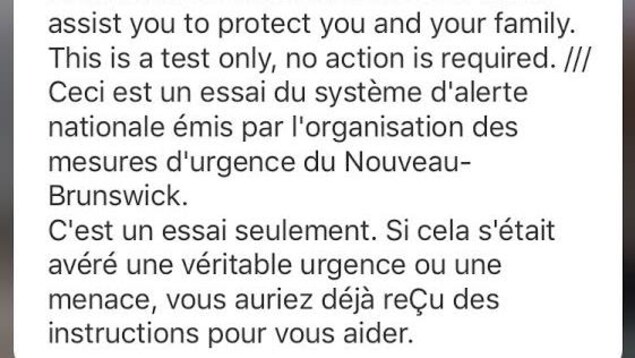 Capture d'écran d'un téléphone intelligent montrant le message du test Capture d'écran d'un téléphone intelligent montrant le message du test