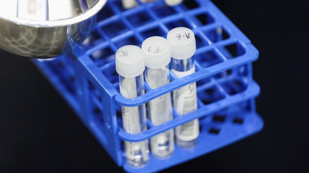Seulement deux nouveaux cas de COVID-19 à Terre-Neuve-et-Labrador
